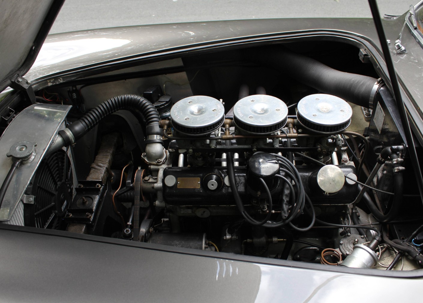 Detailed view of an Aceca-Bristol engine bay with the two-litre six, triple carburettors and air-filter domes visible