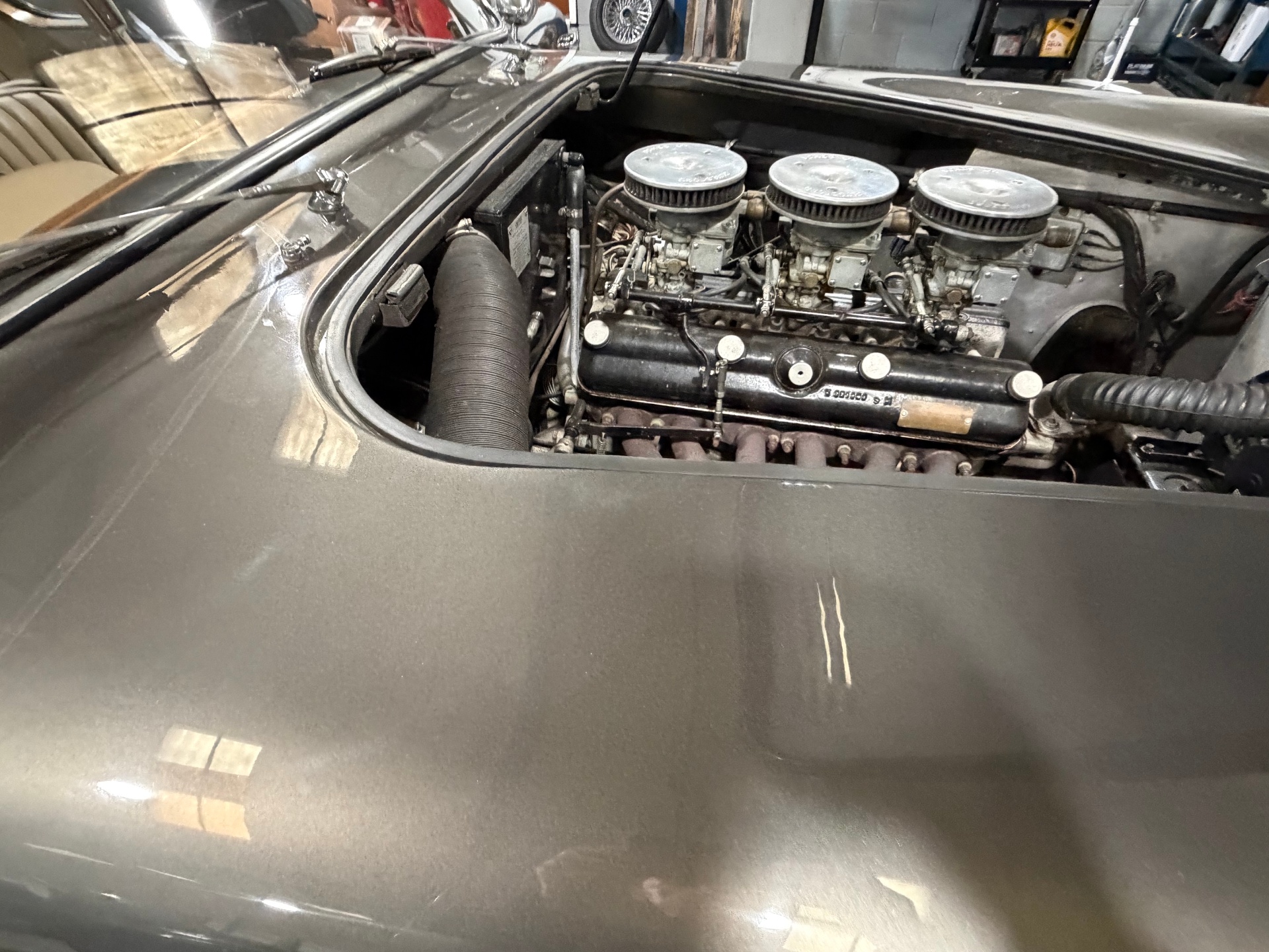 Close view under the raised bonnet of a grey Aceca-Bristol showing the black rocker cover and triple carburettors